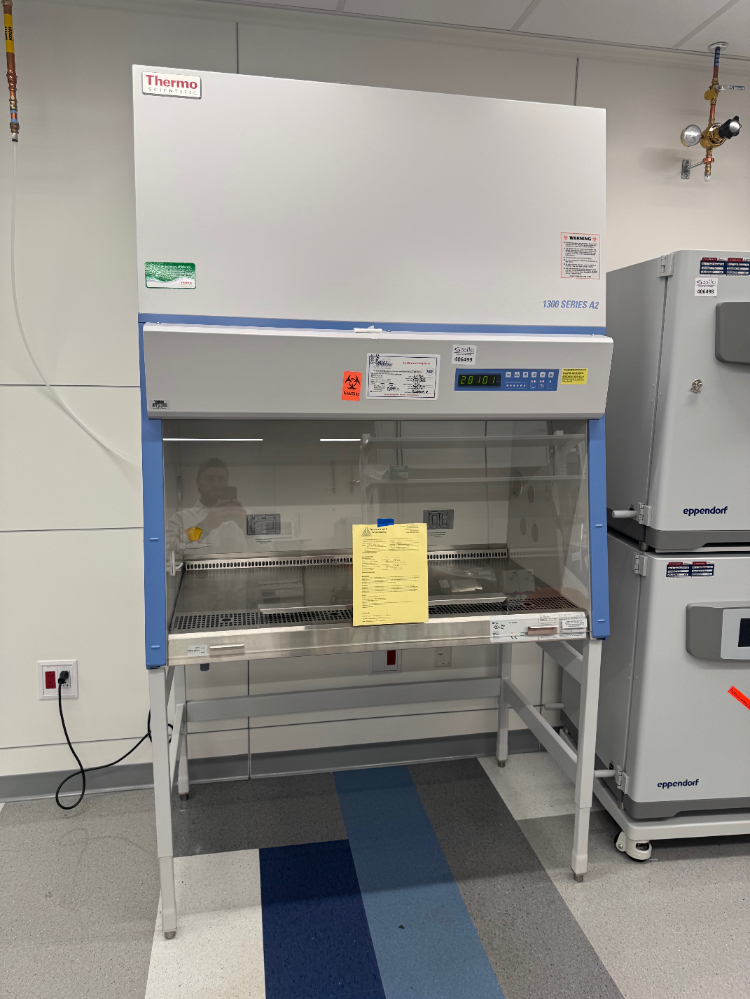 Image of Thermo 1300 Series A2 4' Biosafety Cabinet